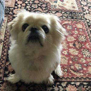 Meet your Posher, Tia